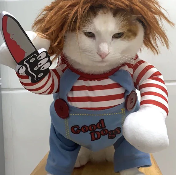 "Mini Monster™ – Costume rigolo pour Chien & Chat" - Twinsy