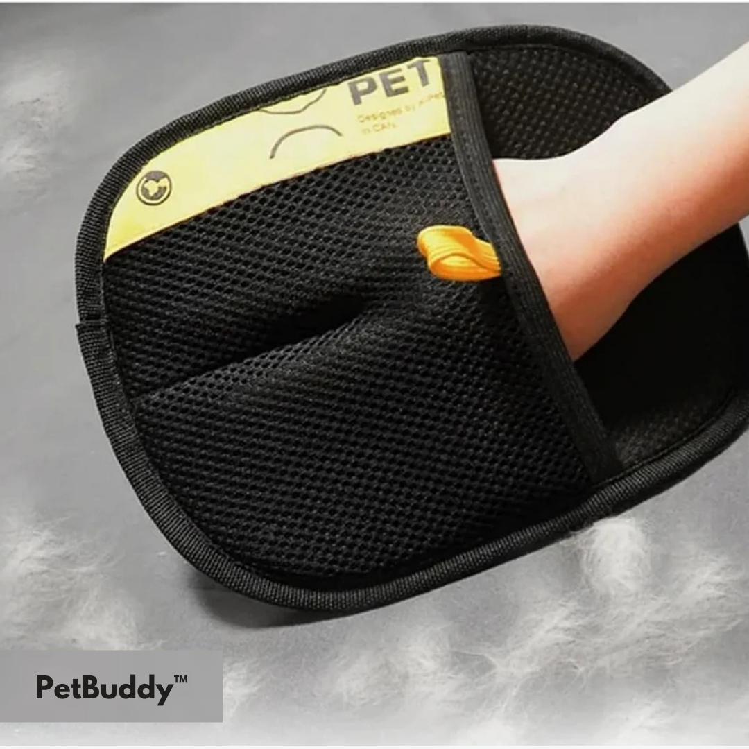 Twinsy PetBuddy™ – Dites adieu aux poils d’animaux (1 acheté = 1 offert !) - Twinsy