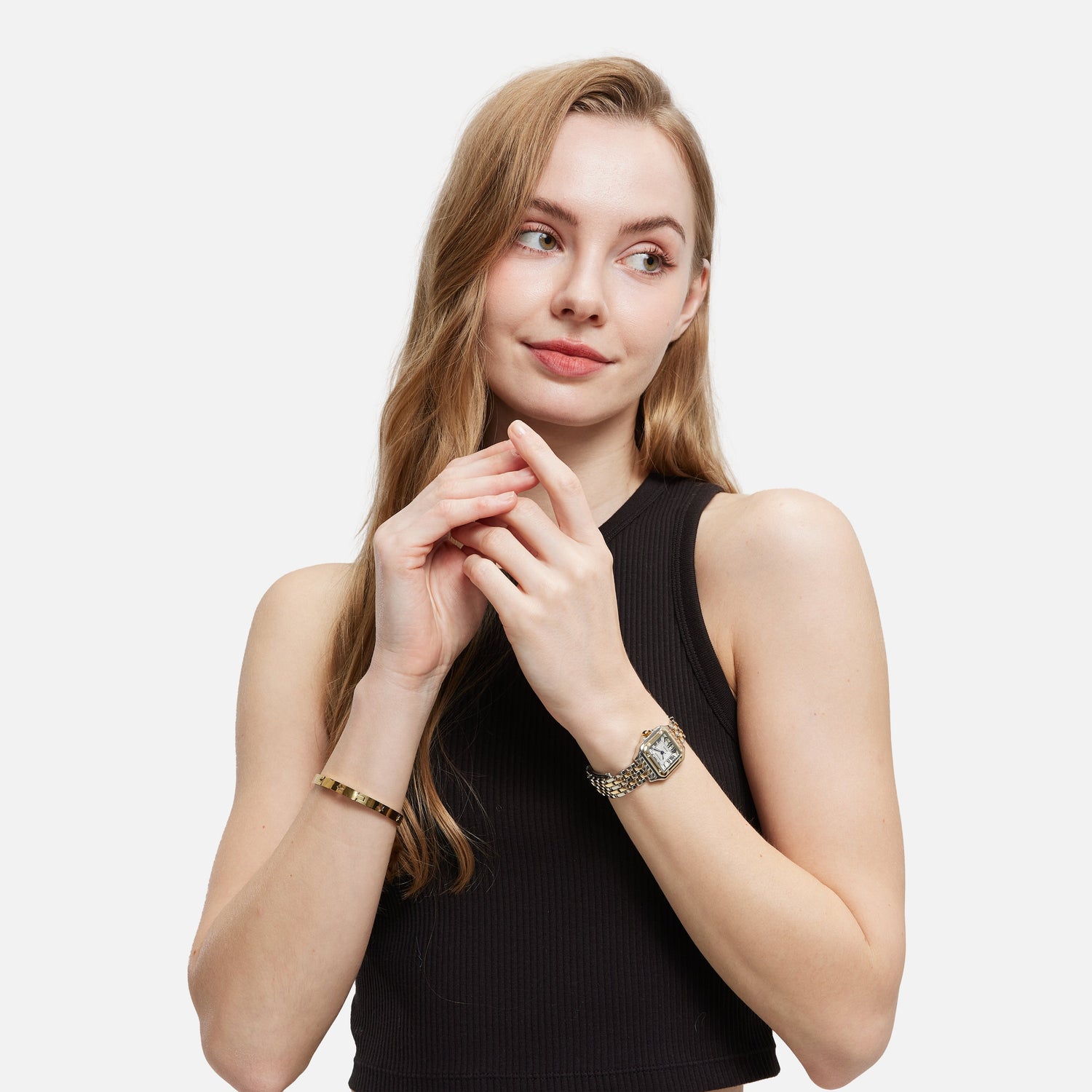 Premium Two Tone Stainless Steel